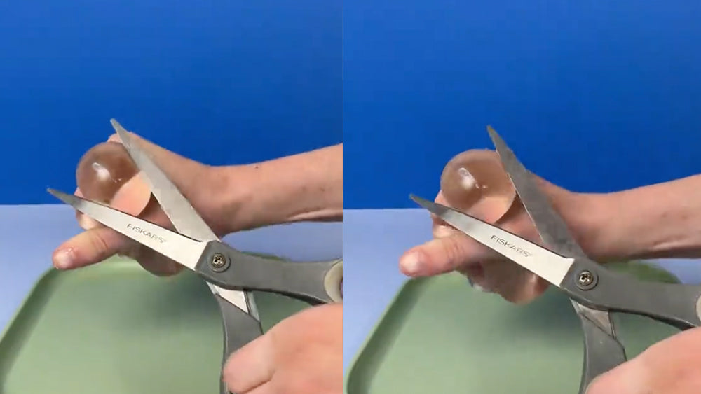 What does Gump look like inside