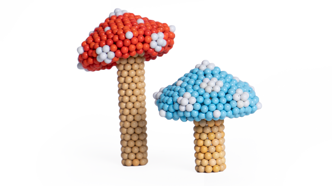 Toadstool Mushroom