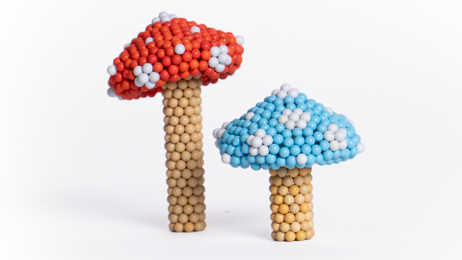 Toadstool Mushroom
