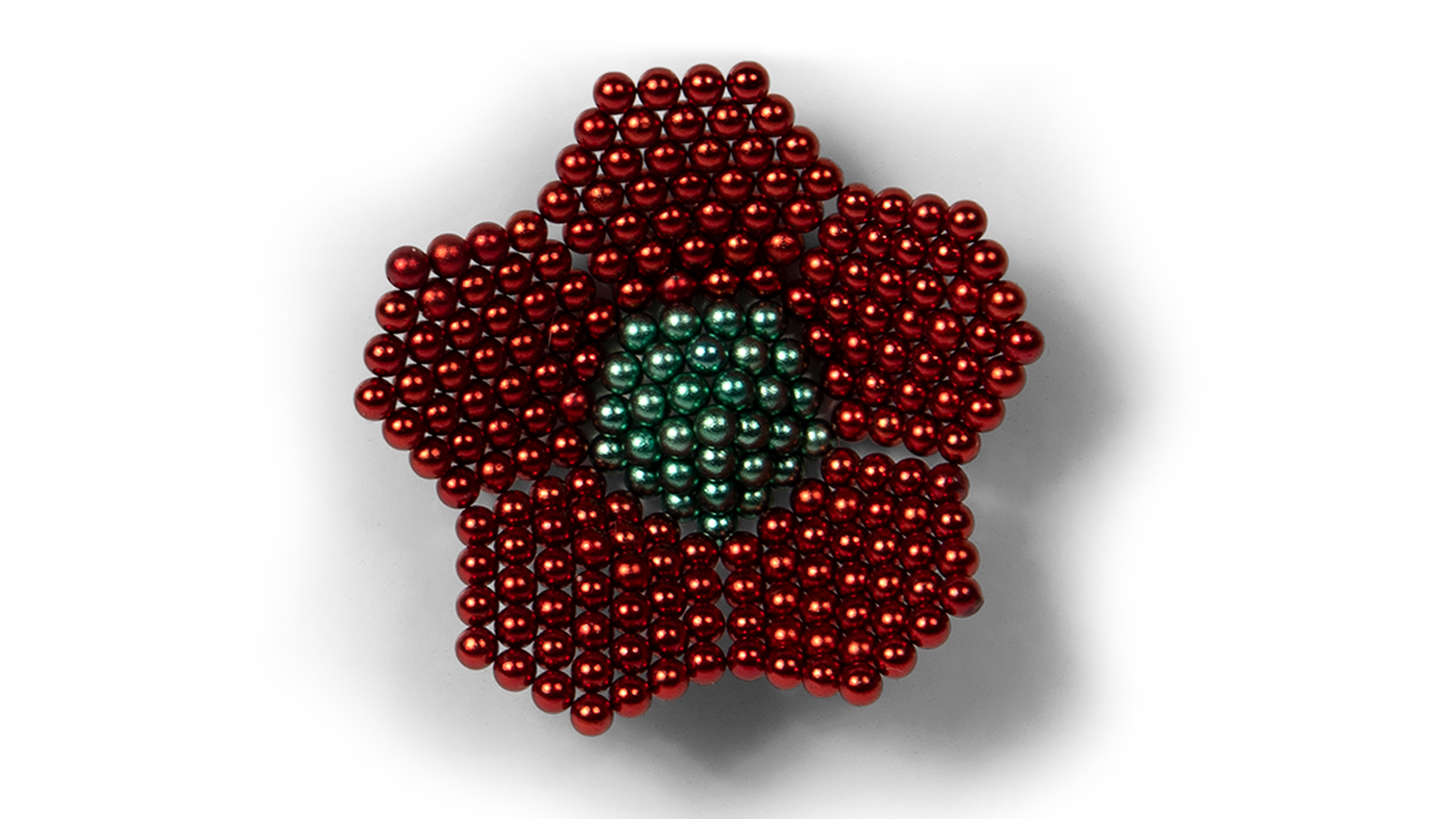 Poppy Flower